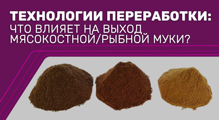 ТЕХНОЛОГИИ ПЕРЕРАБОТКИ: ЧТО ВЛИЯЕТ НА ВЫХОД МЯСОКОСТНОЙ/РЫБНОЙ МУКИ?