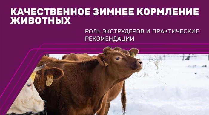 Качественное зимнее кормление животных: роль экструдеров и практические рекомендации