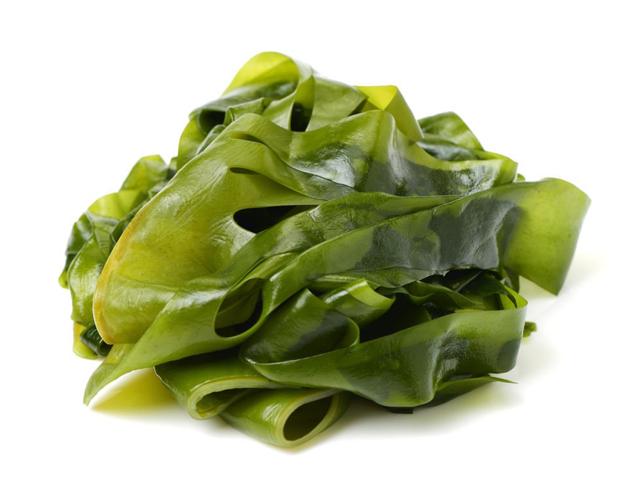 laminariya.jpg laminariya.jpg