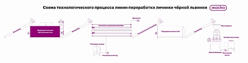 Линия переработки личинки черной львинки