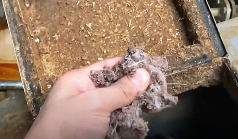 Рыбное сырьё после термической обработки