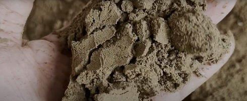 Мука из личинок чёрной львинки